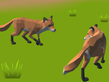    Fox Family